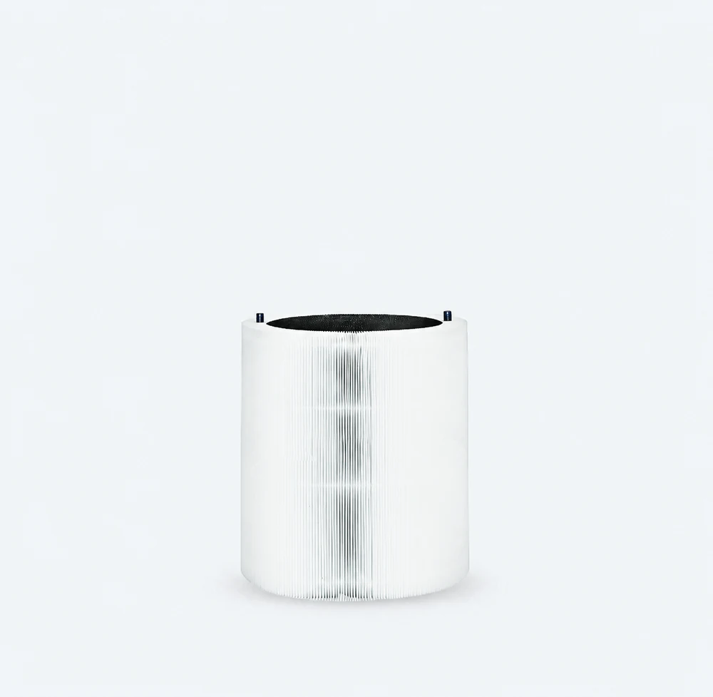 Appearance reference for a F2MAX type replacement filter
