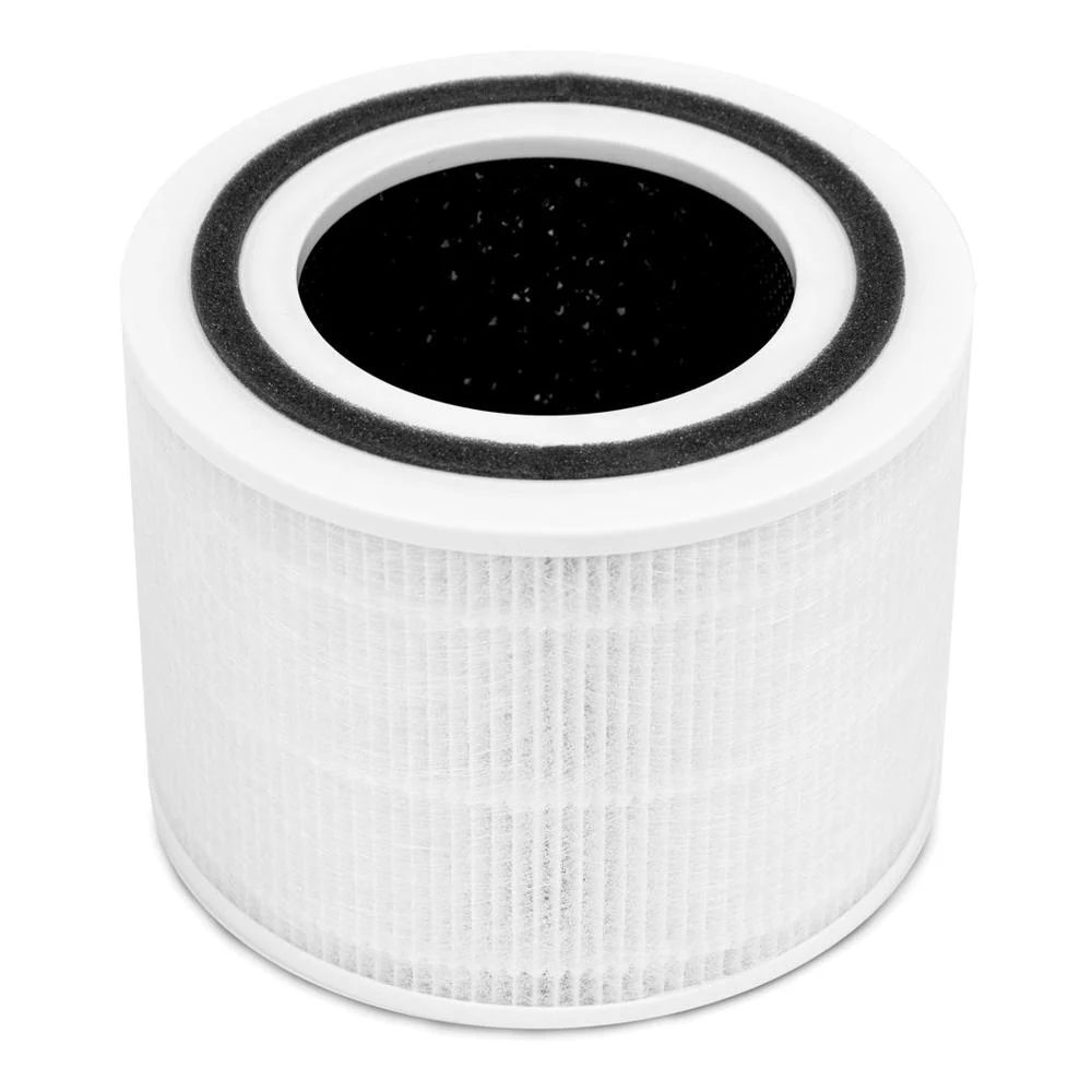 Appearance reference for a Core 300-RF type replacement filter